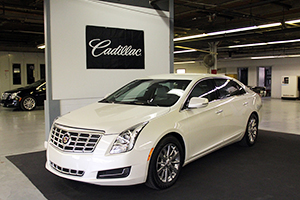 WHITE LP x300